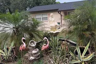 8009 Paulson Ln, Tampa, FL 33617 - Photo 21