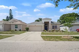 11102 Silver Dancer Dr, Riverview, FL 33579 - Photo 1