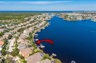 5225 Brighton Shore Dr, Apollo Beach, FL 33572 - Photo 85