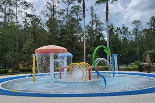 3901 Silverlake Way, Wesley Chapel, FL 33544 - Photo 57