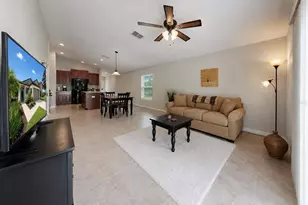 5143 White Chicory Dr, Apollo Beach, FL 33572 - Photo 13