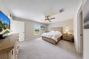 5143 White Chicory Dr, Apollo Beach, FL 33572 - Photo 19