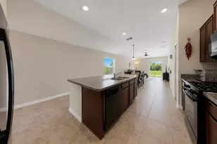 5143 White Chicory Dr, Apollo Beach, FL 33572 - Photo 9