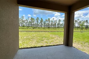 3114 Viceroy Ct, Kissimmee, FL 34759 - Photo 11