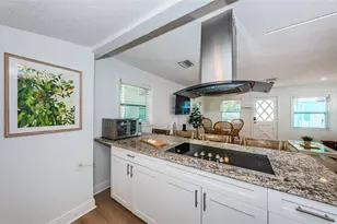 504 70th Ave, Saint Pete Beach, FL 33706 - Photo 41
