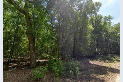 Ne Willow Bend Terrace, Lee, FL 32059 - Photo 1