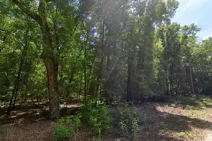 NE Willow Bend Terrace, Lee, FL 32059 - Photo 1