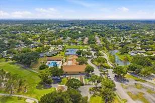 3277 Gorse Ct, Palm Harbor, FL 34684 - Photo 35