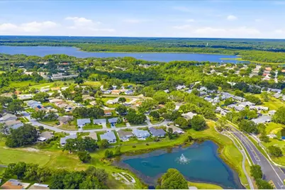 3277 Gorse Court, Palm Harbor, FL 34684 - Photo 39