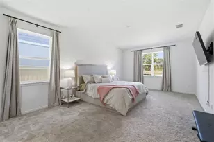 12071 Orchid Ash St, Riverview, FL 33579 - Photo 11