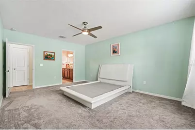 10022 Carloway Hills Drive, Wimauma, FL 33598 - Photo 15