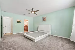 10022 Carloway Hills Dr, Wimauma, FL 33598 - Photo 15