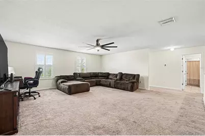 10022 Carloway Hills Drive, Wimauma, FL 33598 - Photo 13
