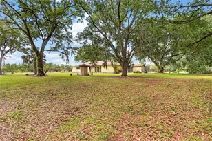 3708 Joe Sanchez Rd, Plant City, FL 33565 - Photo 79