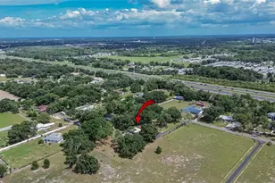 3708 Joe Sanchez Rd, Plant City, FL 33565 - Photo 83