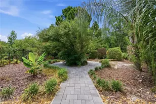 30643 Walker Cup Pl, Wesley Chapel, FL 33543 - Photo 41