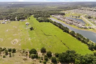 12631 Hobson Simmons Rd, Lithia, FL 33547 - Photo 17