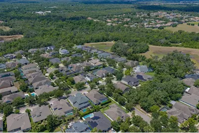 15424 Starling Crossing Drive, Lithia, FL 33547 - Photo 49