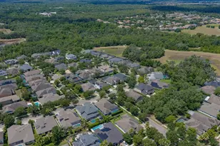 15424 Starling Crossing Dr, Lithia, FL 33547 - Photo 49