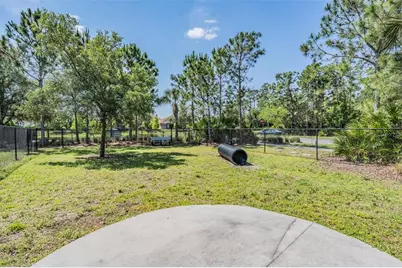11882 Frost Aster Drive, Riverview, FL 33579 - Photo 53