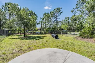 11882 Frost Aster Dr, Riverview, FL 33579 - Photo 53