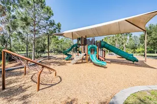 11882 Frost Aster Dr, Riverview, FL 33579 - Photo 65