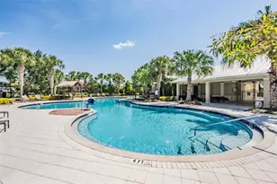 11882 Frost Aster Dr, Riverview, FL 33579 - Photo 55