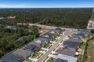 2676 Leafwing Ct, Palm Harbor, FL 34683 - Photo 25