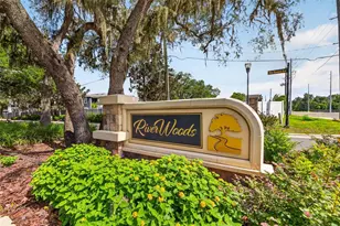 5112 Abisher Wood Ln, Brandon, FL 33511 - Photo 45