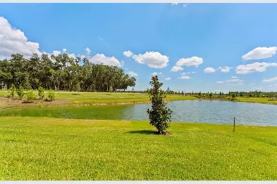 34754 Lowery Trail, Zephyrhills, FL 33541 - Photo 15