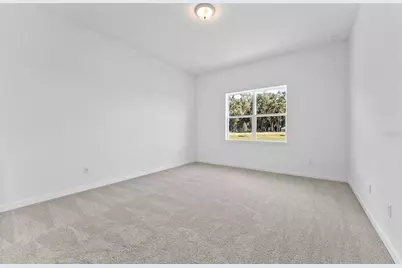 34754 Lowery Trail, Zephyrhills, FL 33541 - Photo 5