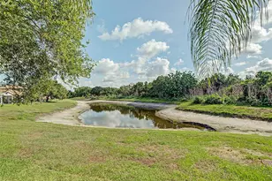 11620 Hammocks Glade Dr, Riverview, FL 33569 - Photo 19