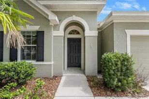 15814 Starling Water Dr, Lithia, FL 33547 - Photo 5
