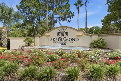 3 Diamond Cove Court, Ocala, FL 34472 - Photo 37