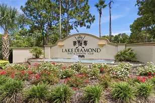 3 Diamond Cove Ct, Ocala, FL 34472 - Photo 37