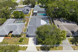 104 Nestlebranch Dr, Safety Harbor, FL 34695 - Photo 39