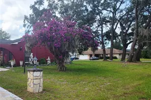 8962 Jena Rd, Spring Hill, FL 34608 - Photo 3