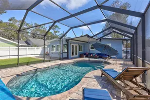 302 S Mayo St, Crystal Beach, FL 34681 - Photo 3