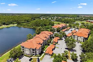 18106 Peregrines Perch Pl, Lutz, FL 33558 - Photo 61