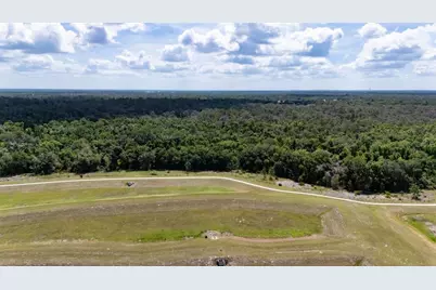 5805 Watercolor Drive, Lithia, FL 33547 - Photo 61