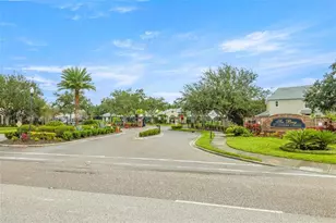 26543 Castleview Way, Wesley Chapel, FL 33544 - Photo 5
