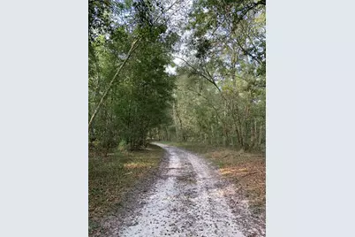 1305 NE 930th Street, Old Town, FL 32680 - Photo 9