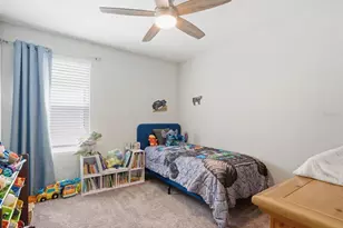 34149 Scarlet Sage Ct, Wesley Chapel, FL 33545 - Photo 43