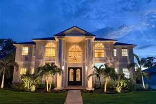 15004 Maurine Cove Ln, Odessa, FL 33556 - Photo 59