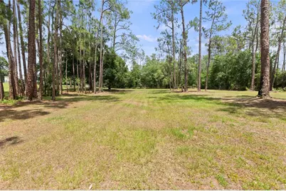 5360 Dillman Lane, Polk City, FL 33868 - Photo 11