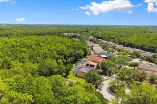 8102 Kendelwick Ct, Tampa, FL 33647 - Photo 59