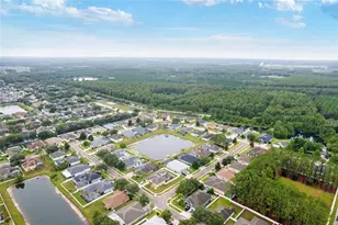 20744 Orchardtown Dr, Land O Lakes, FL 34638 - Photo 45