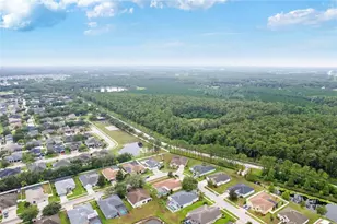 20744 Orchardtown Dr, Land O Lakes, FL 34638 - Photo 49
