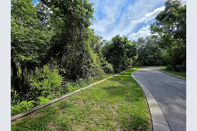 4876 Rambling River Road, Brandon, FL 33511 - Photo 9