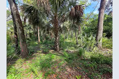 4876 Rambling River Road, Brandon, FL 33511 - Photo 7